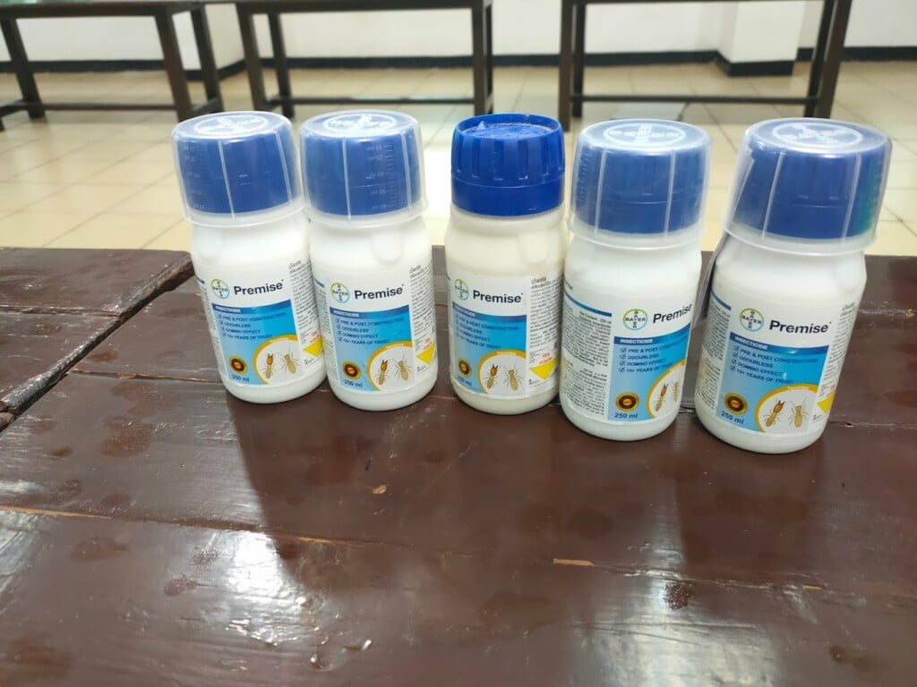 Apollo Pest Control Services - 4