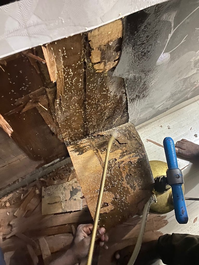 PCE PEST CONTROL EXPERTS INDIA PVT LTD - 3