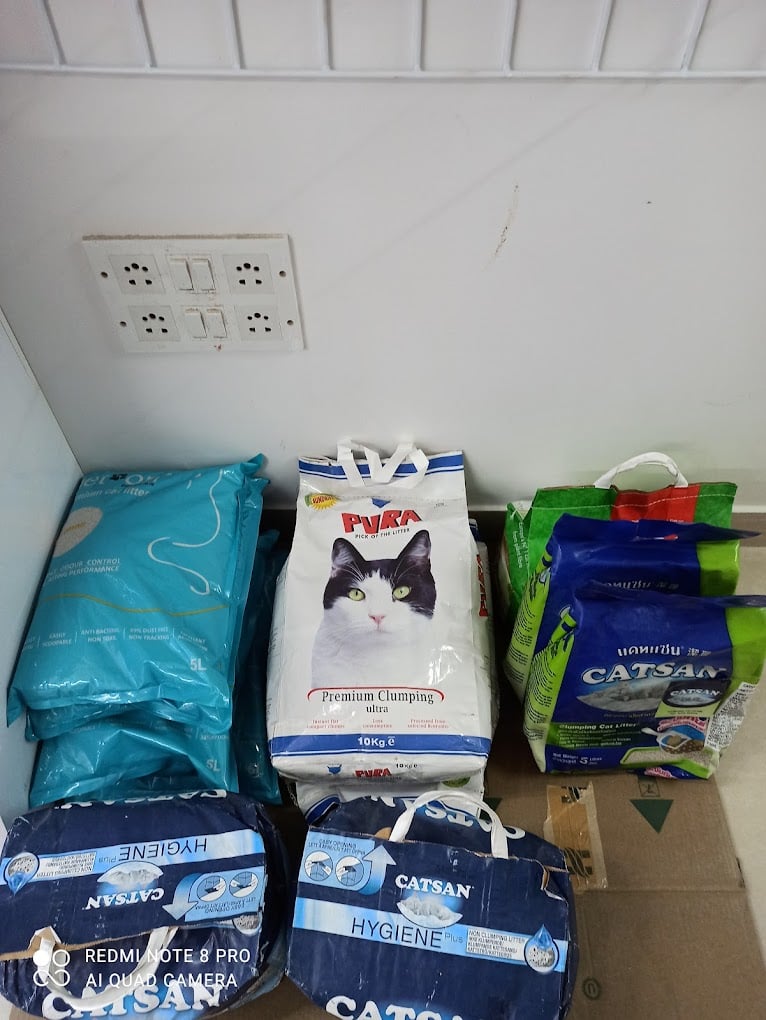 DogMyCats - Neeladri Nagar - 3