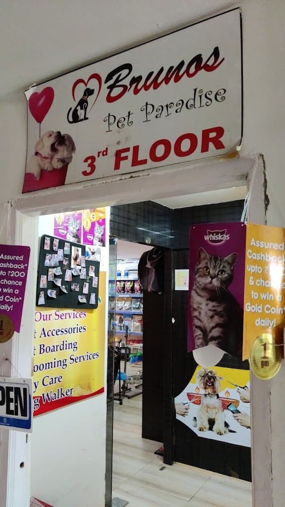 Brunos Pet Paradise and veterinary Service