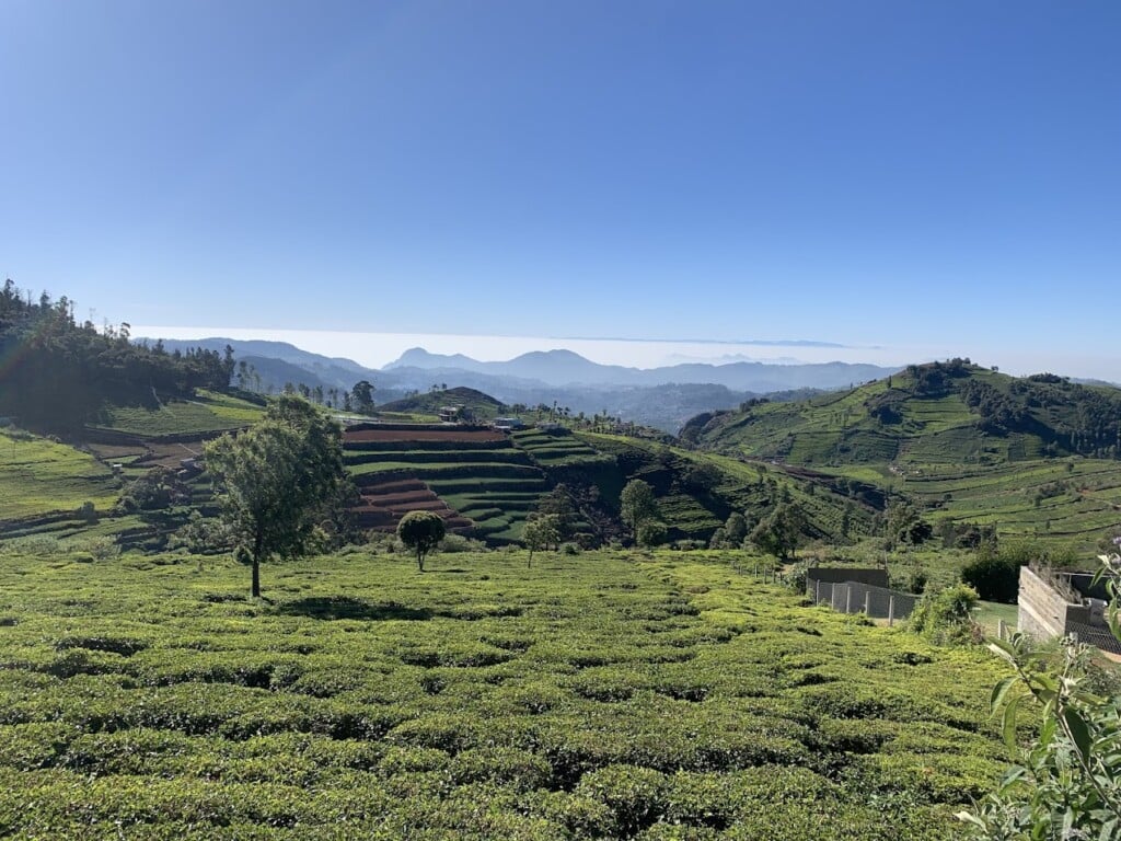 Arjun Tours and Travels Pvt.Ltd. - 2