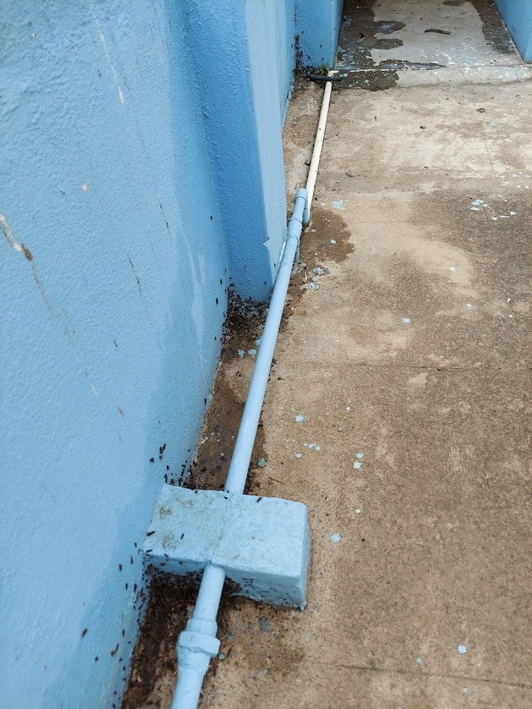 NAVIGATOR Pest Control Service Bangalore - 5