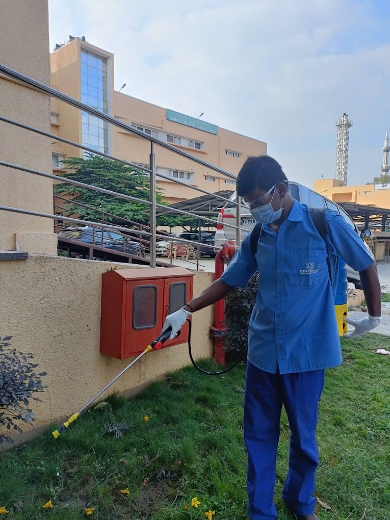 Pesterad Services - 3