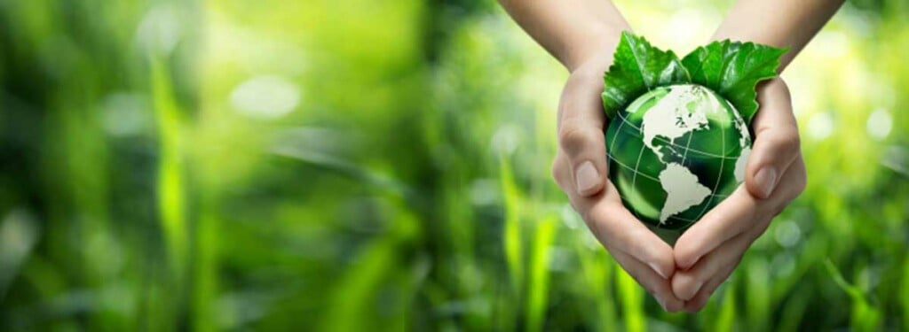 Max Pest Control Services