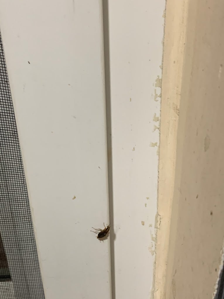 HiCare Services Private Limited - 560022 - 3