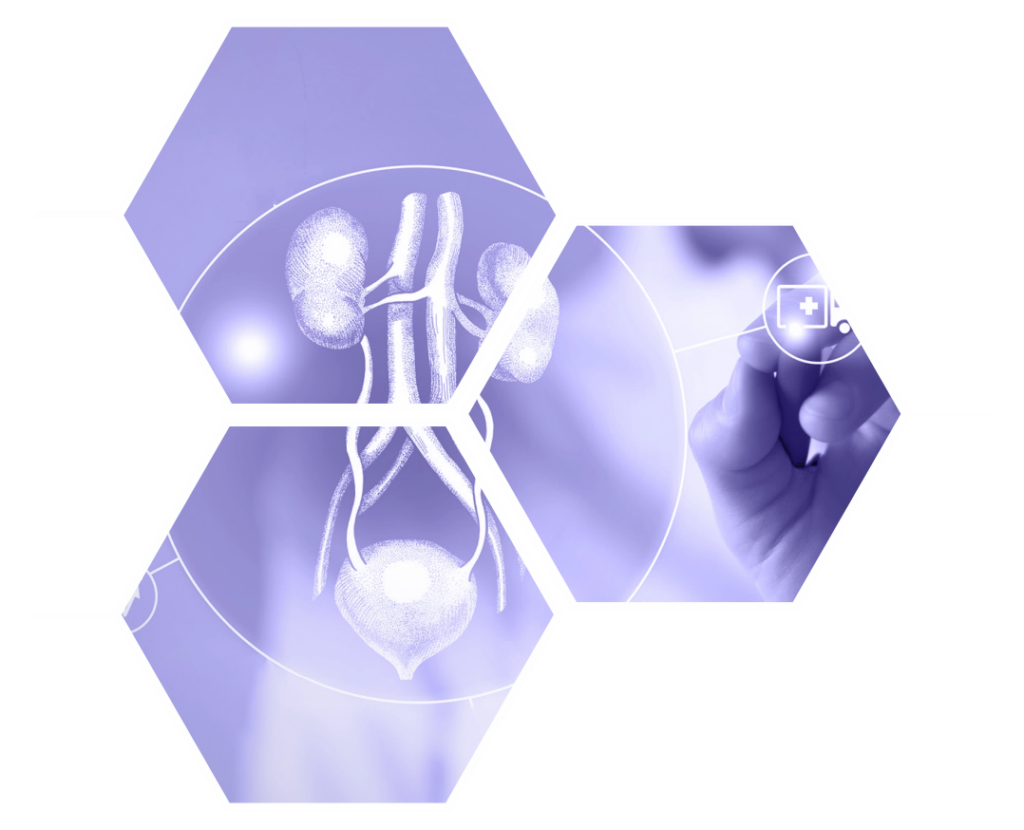 Maxwell Hospital In Bani Park