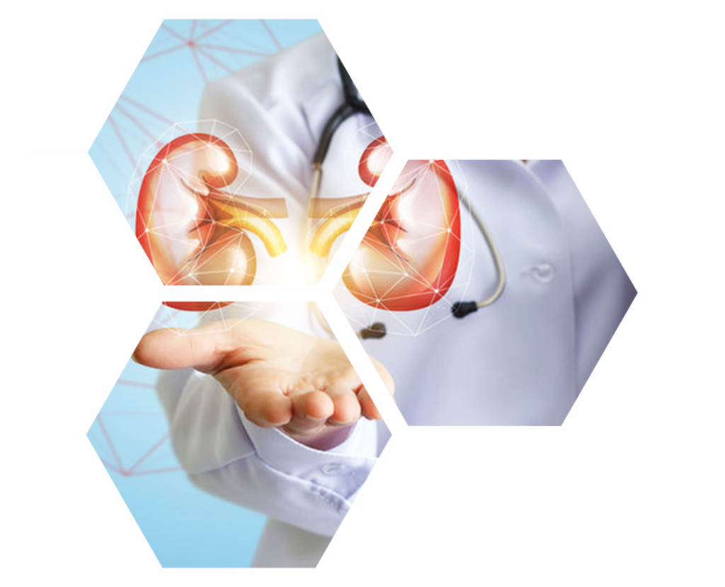 Maxwell Hospital In Bani Park - 2