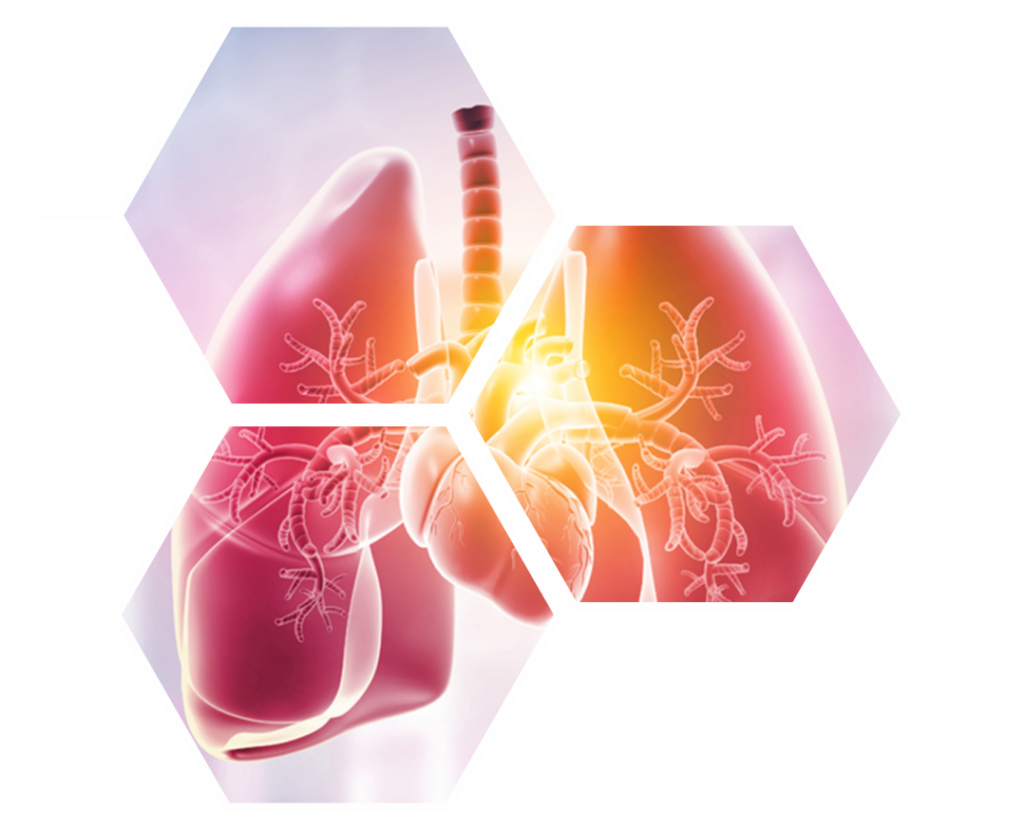 Maxwell Hospital In Bani Park - 4