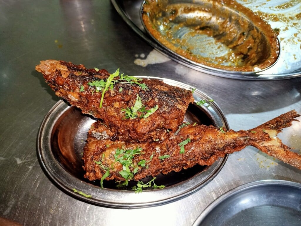 Minal Restaurant (Veg Nonveg) - 2