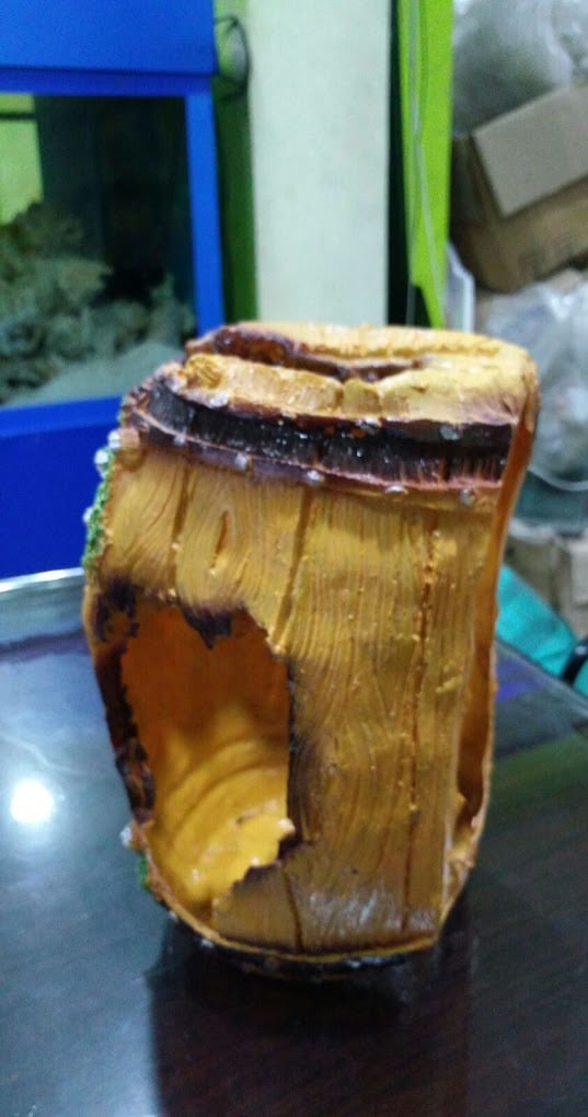 PETS MAGIC AQUARIUM & PET SHOP/ BEST PETS SHOP IN PCMC/ BEST AQUARIUM SHOP IN PCMC - 4