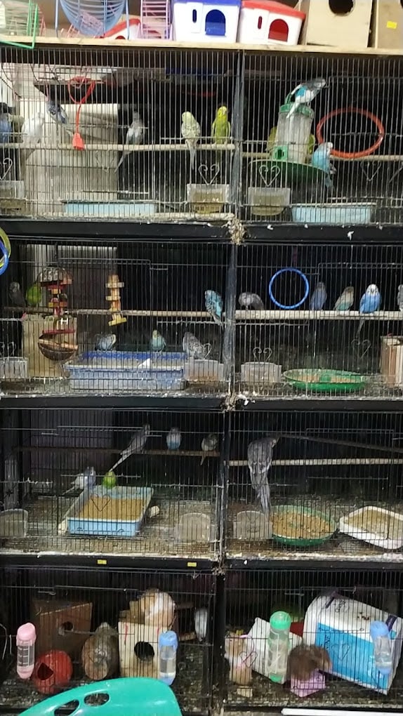 Pet & Joy.Best Pet Shop In Pune - 3