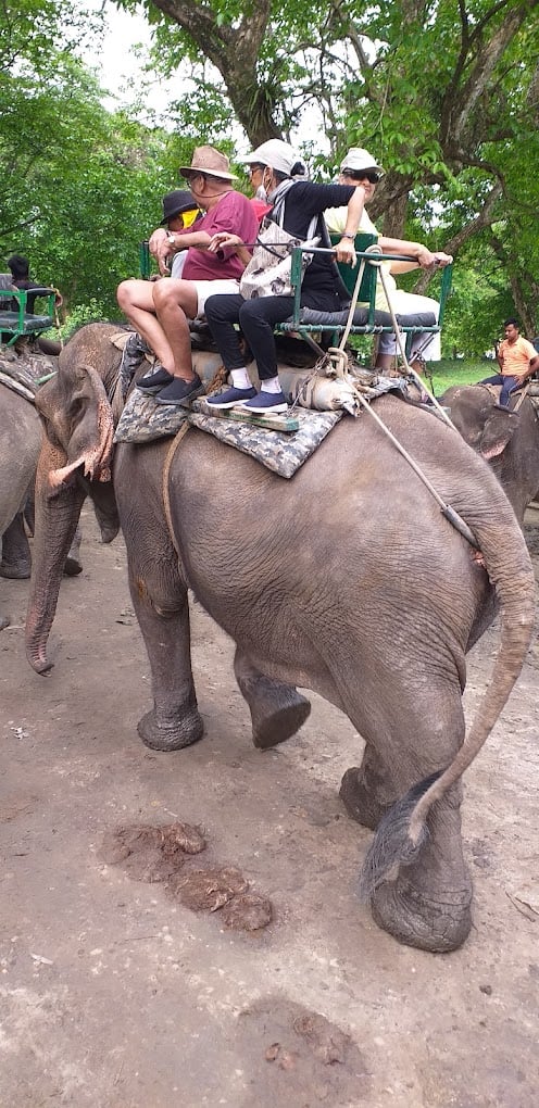 Sudin Travels & Forex Pvt Ltd - 5