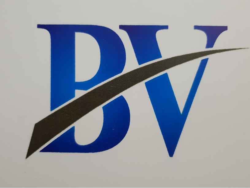 Blue Venture Consultancy Services