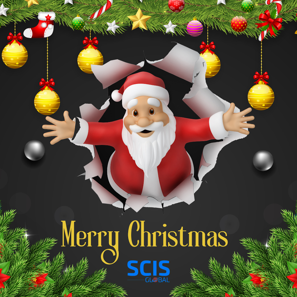 SCIS Global (Formerly SOUL Foundation) - Placement Consultancy for IT Jobs - 5