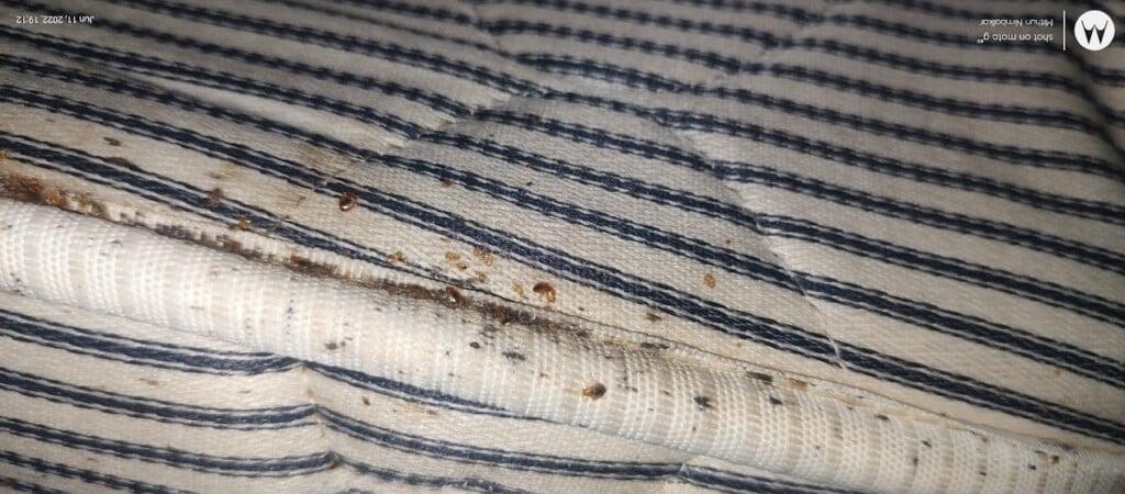 Sainet Facilities - 4