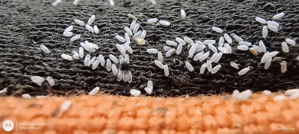 Sainet Facilities - 5