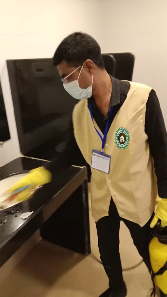 Perfect Pest Control Services - 2