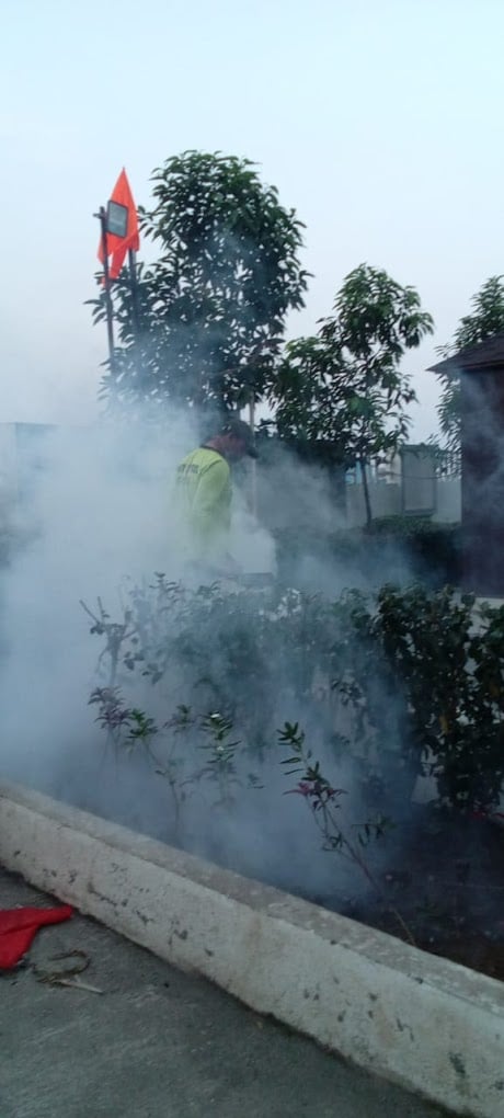 GLOBAL PEST CONTROL - 3