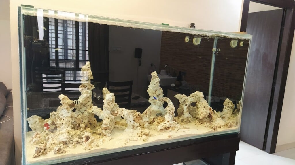 Maa Tara Pet Shop - 2