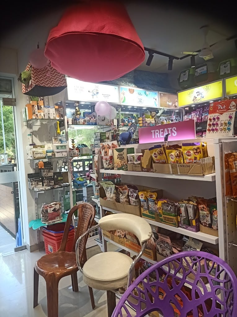 Pink Paws Newtown - Pet Grooming Services in Newtown - 4