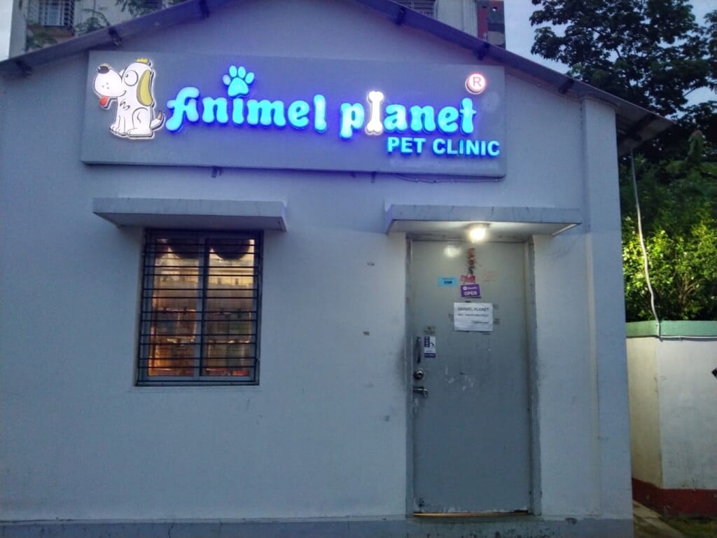Animel Planet