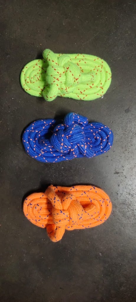 All About Animals A3 - 3