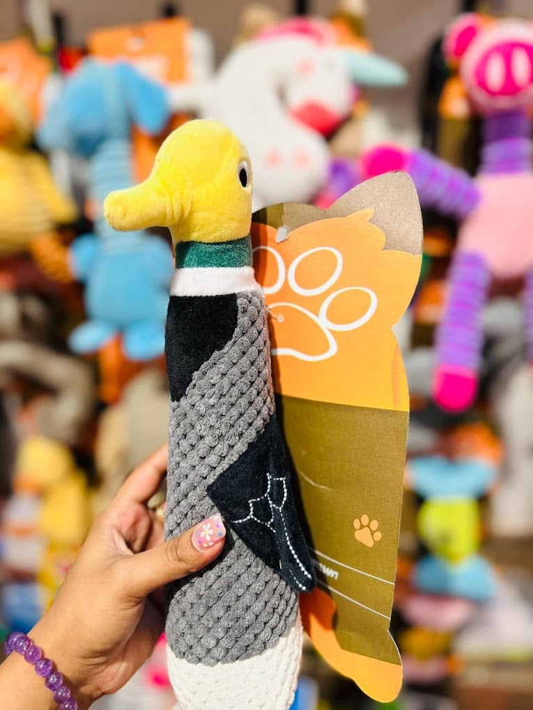 All About Animals A3 - 4