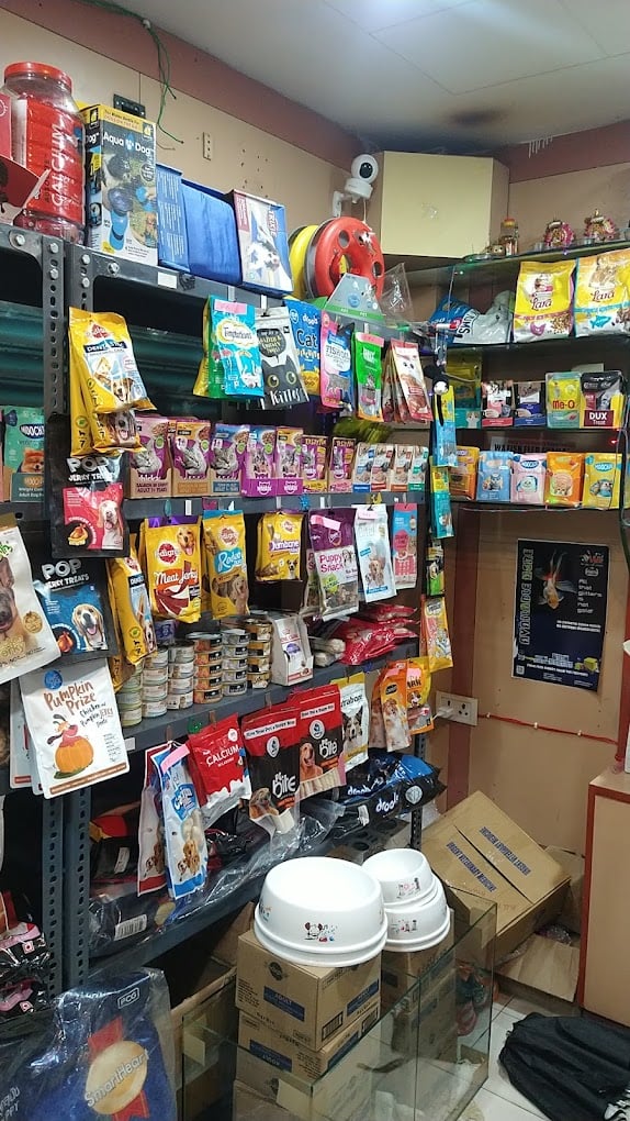 All About Animals A3 - 5