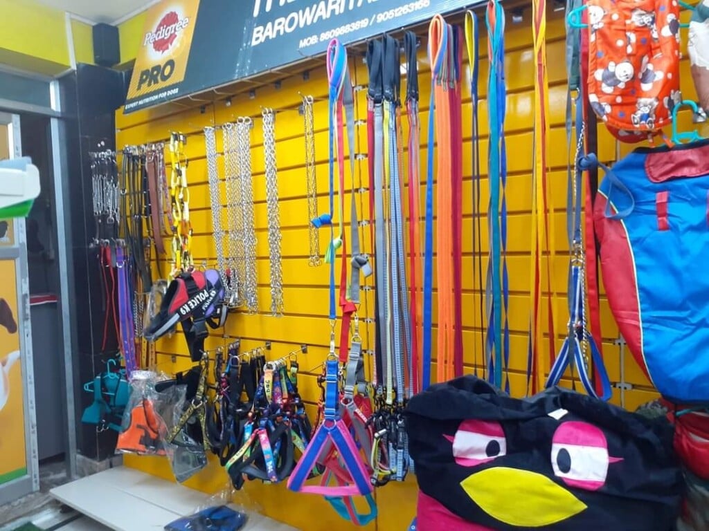 THE PET POINT KOLKATA | Best Pet Shop in Kestopur | - 5