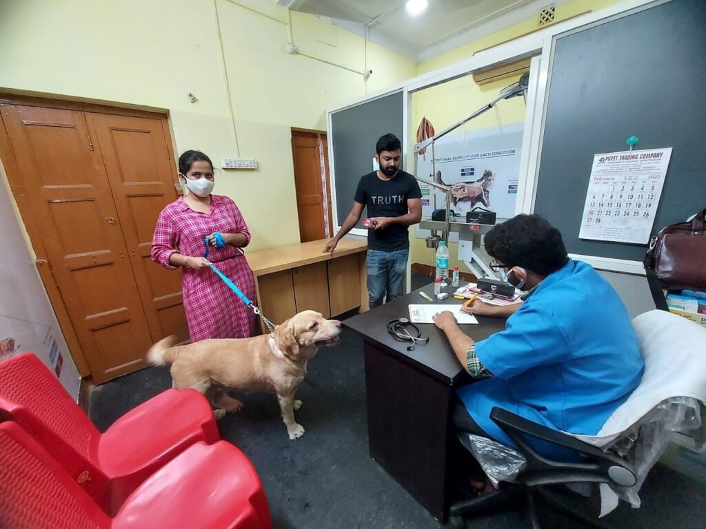 PGPET TRADING CO. - 4