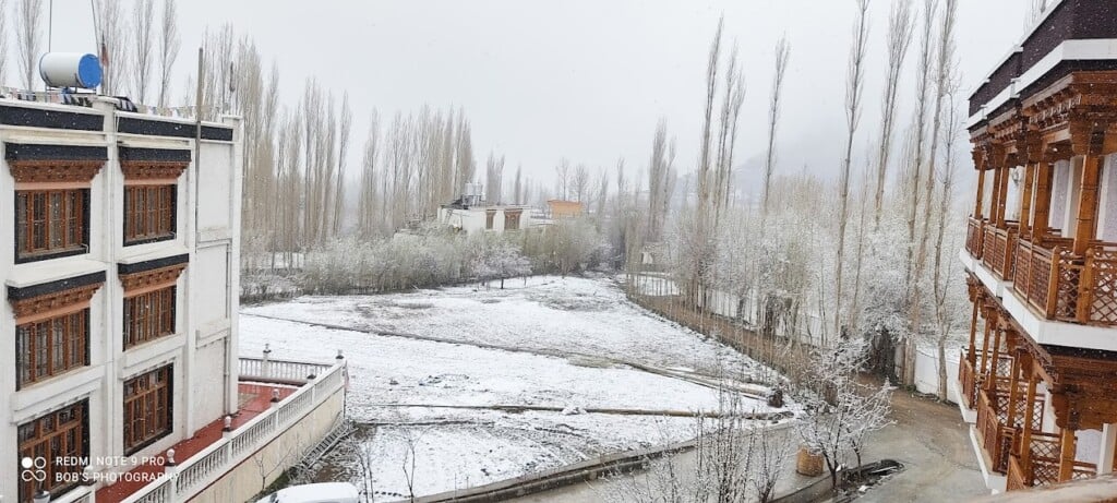 Travel Host Online | Best Travel Agency in Kolkata | - 5