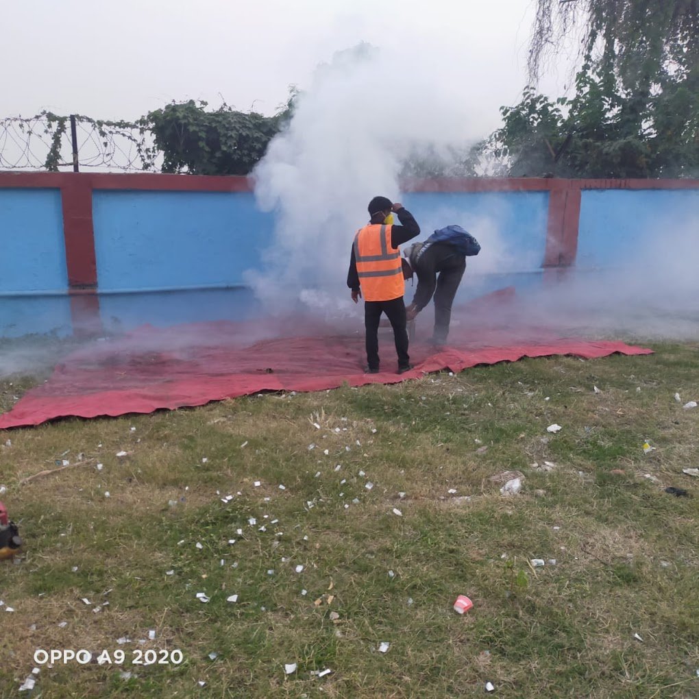 PEST CURE MANAGEMENT - 3