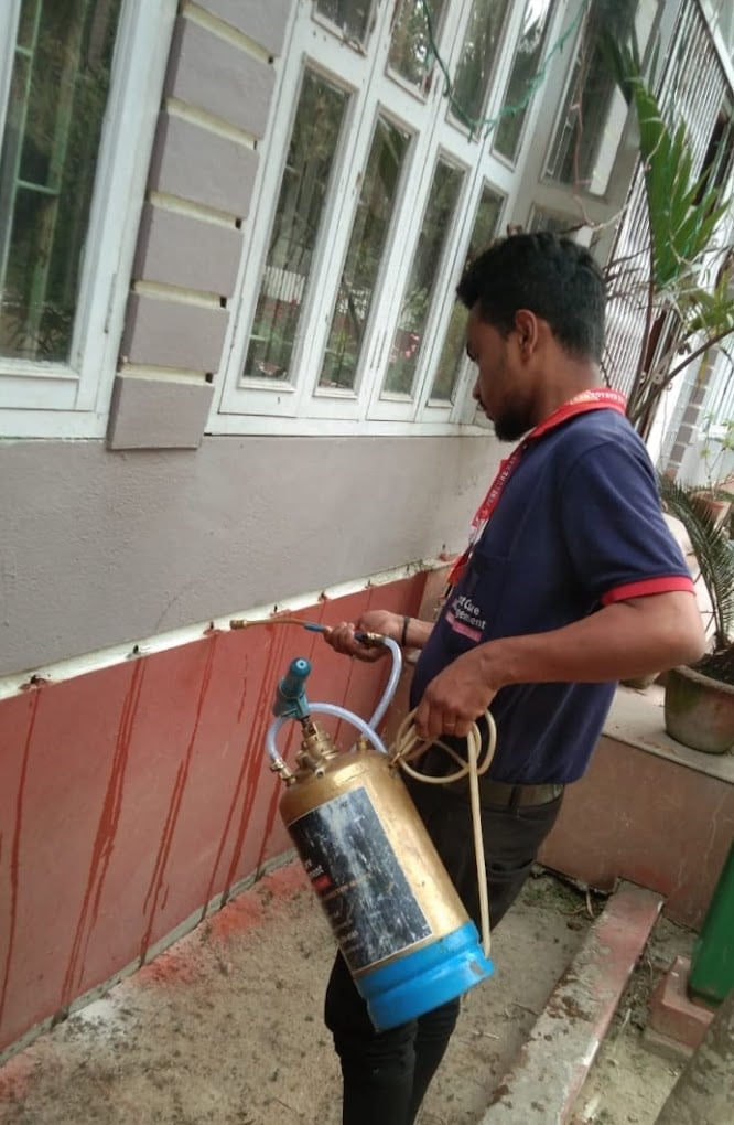 PEST CURE MANAGEMENT - 4