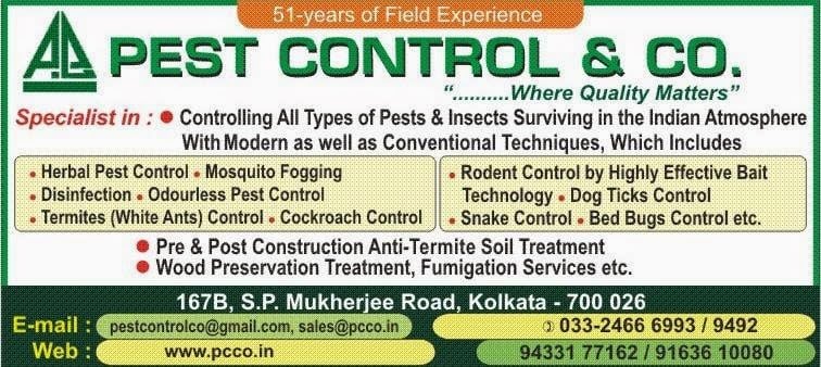 Pest Control & Co