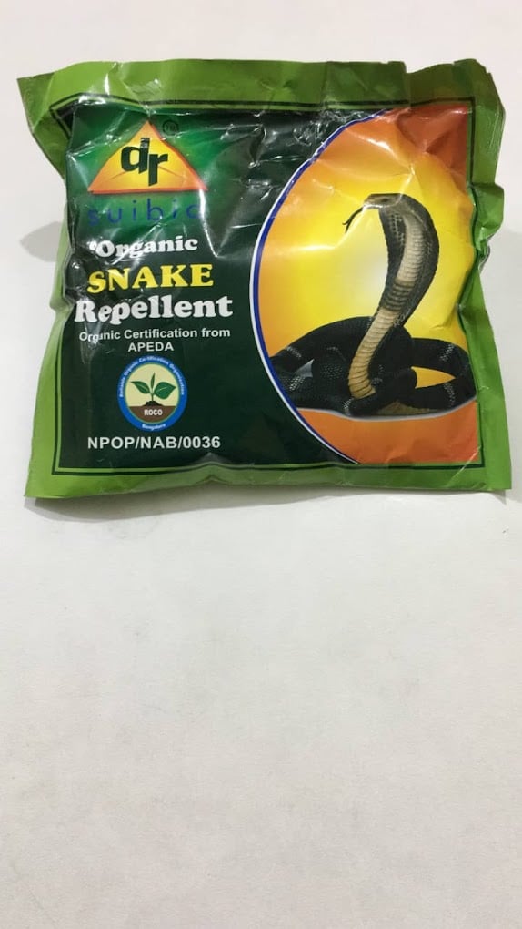 Creative pest control service - 3