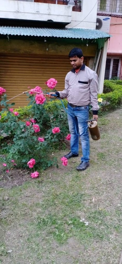 Creative pest control service - 5