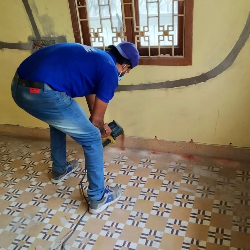 Golden Pest Solutions - 4