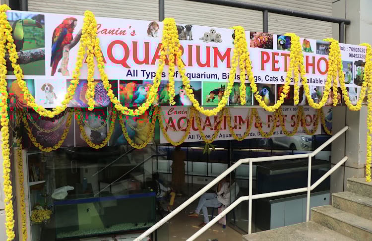 Canin's Aquarium & Pet Shop,Bejai Museum Road