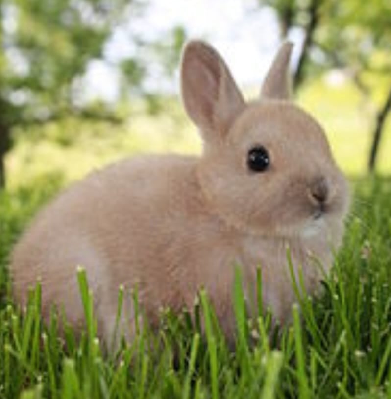 Aquarium & Pet Shop - 4