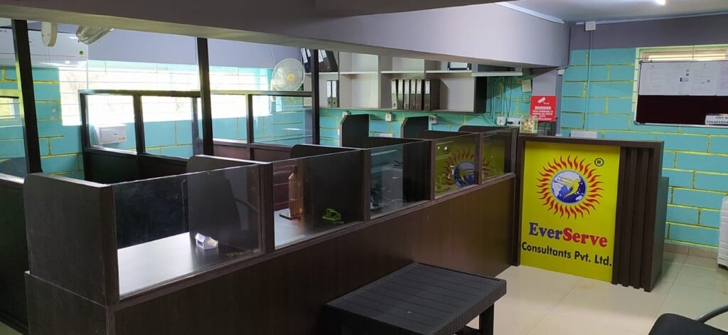 EverServe Consultants Private Limited - 4