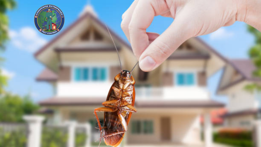 CHINMAYEE ENTERPRISES PEST CONTROL SERVICES - 5