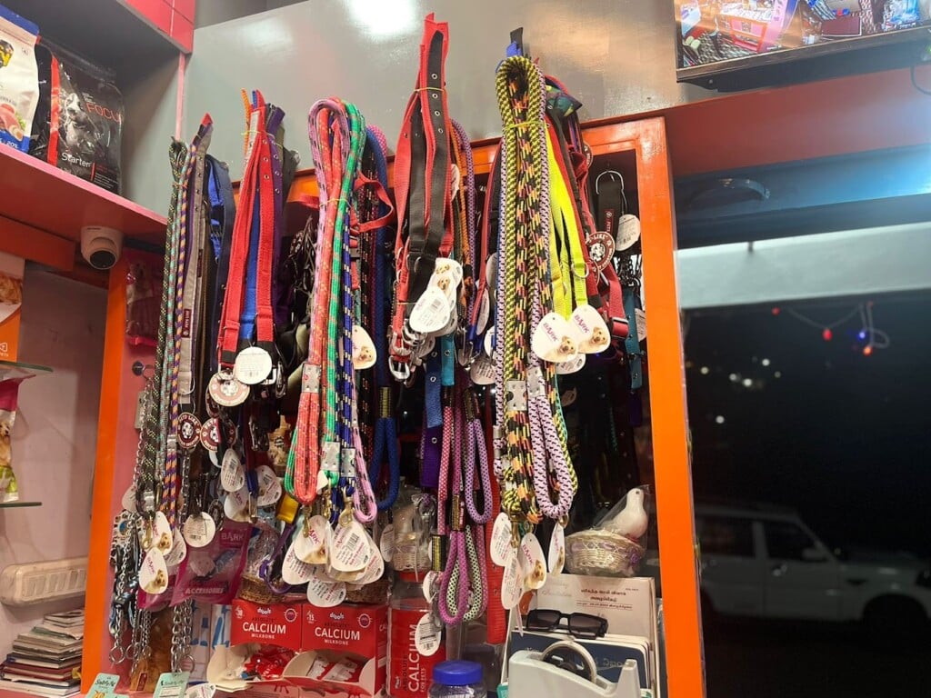 Paezhai pet clinic ooty - 2