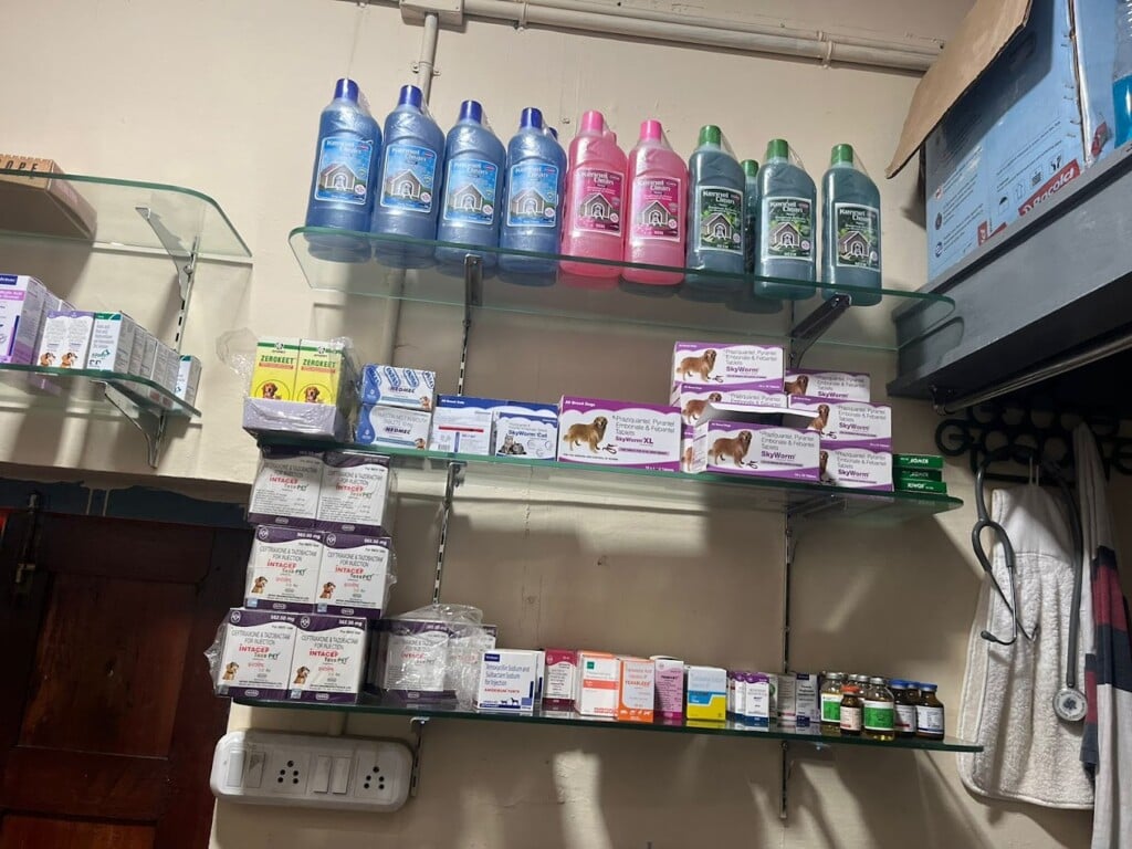 Paezhai pet clinic ooty - 4