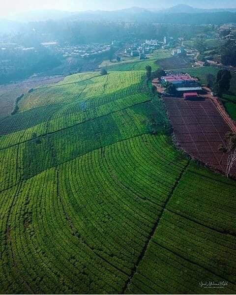 Asian Travels Ooty - 4