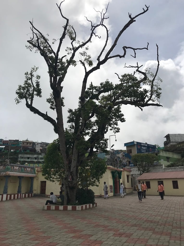 Suguna Flower Shop - 5