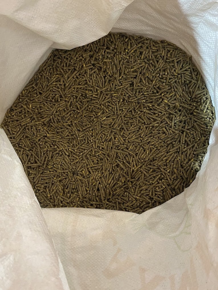 LOLA GSD RABBIT FARM - 4