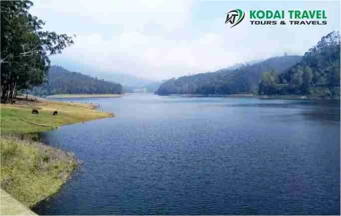 KODAI TRAVEL (TOURS AND TRAVELS IN KODAIKANAL) - 2