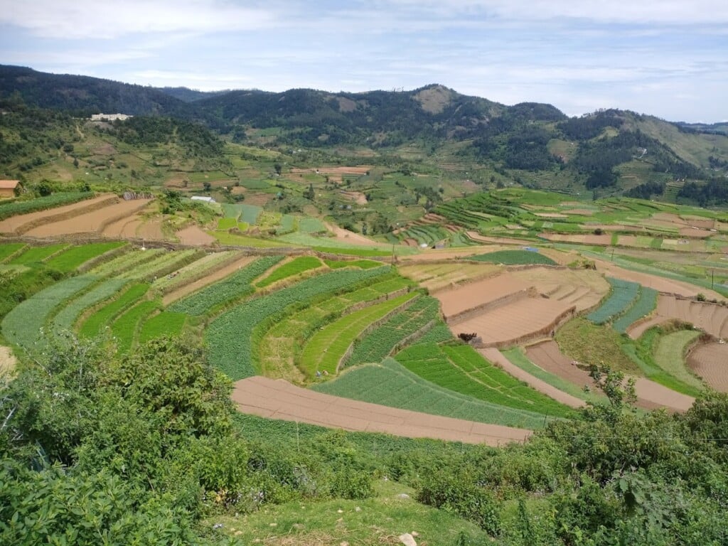 MRR Tours & Travels - 5