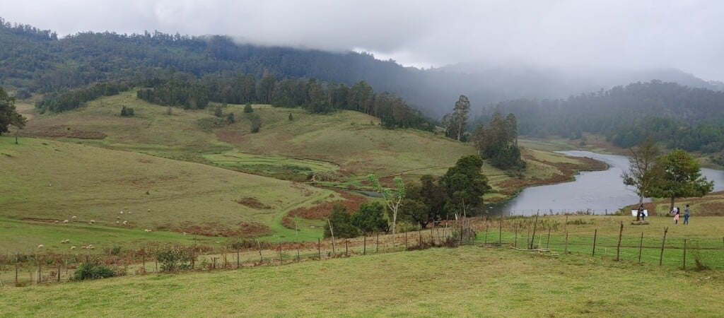 KODAI JOURNEY tours and travels