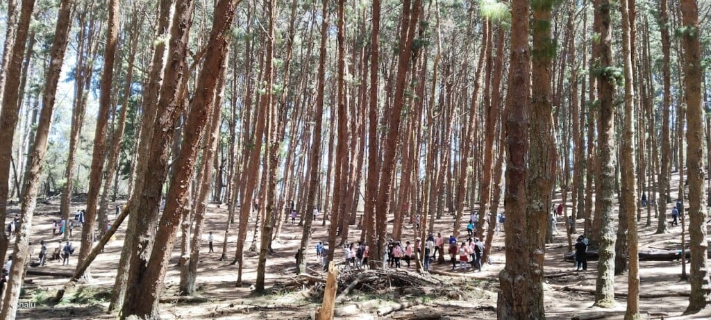 Queen Tours & Travels